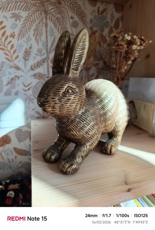 grand angle 24 mm 10