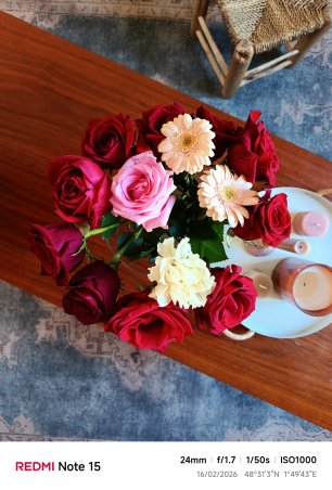 grand angle 24 mm 13