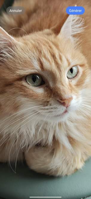 Screenshot_2026-02-25-23-45-28-062_com.android.thememanager