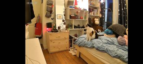 Captura de tela_20260224-190634