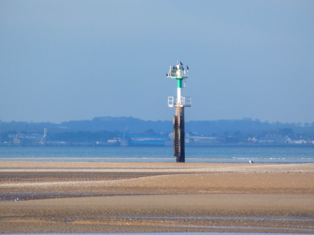 Cadrage à 1200 mm Cadrage à 1200 mm