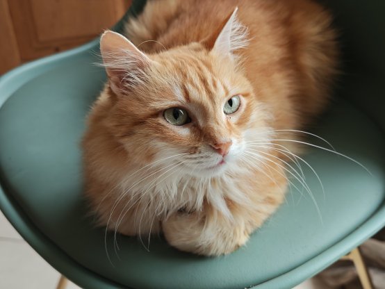 Xiaomi 17 Ultra - 46 mm