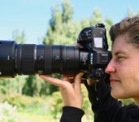 Le Nikkor Z 70-200mm f/2.8 VR S II