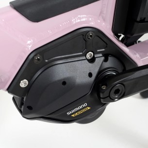 Douze LT24 moteur Shimano