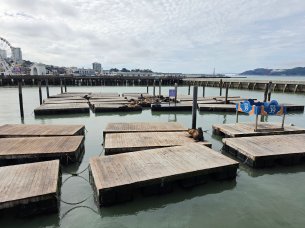 Grand Angle Samsung Galaxy S26 Ultra 226_064151