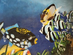 IMG_20260301_142214485