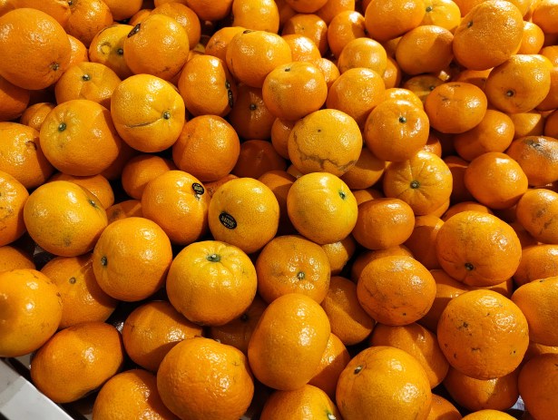 IMG_20260304_160106738