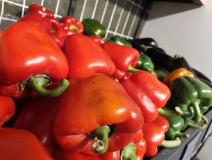 IMG_20260304_160139412