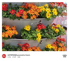 Leica Leitzphone - Frandroid - IMG_20260301_155801