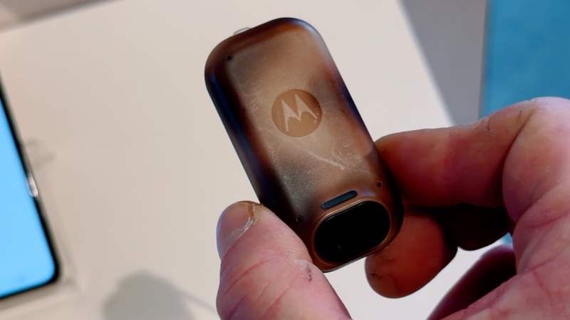 Ce collier espionne votre vie en temps réel