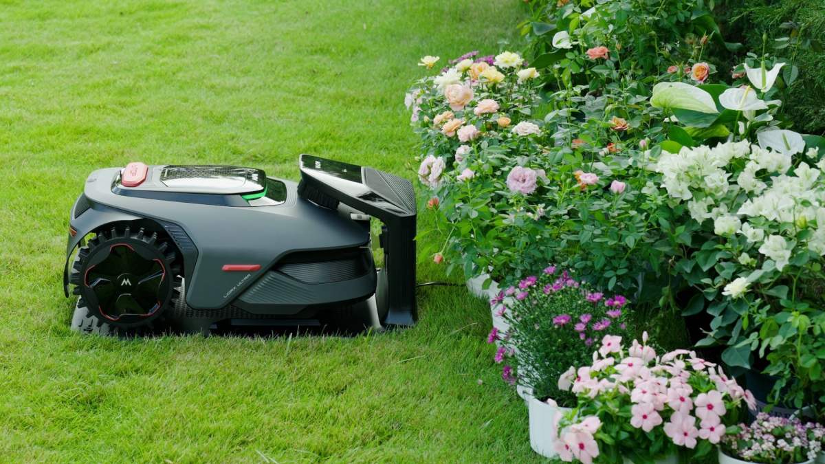 Image Ce robot tondeuse redonne une beauté à n’importe quel jardin avec presque 200 euros de moins