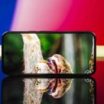 Google Pixel 10a : le photophone compact avec 7 ans de mises à jour passe à moins de 460 € aujourd&rsquo;hui seulement