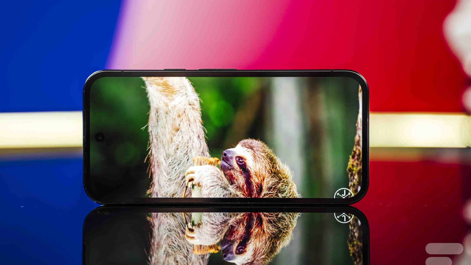 Google Pixel 10a: the compact camera phone with 7 years of updates drops to less than €460 today only