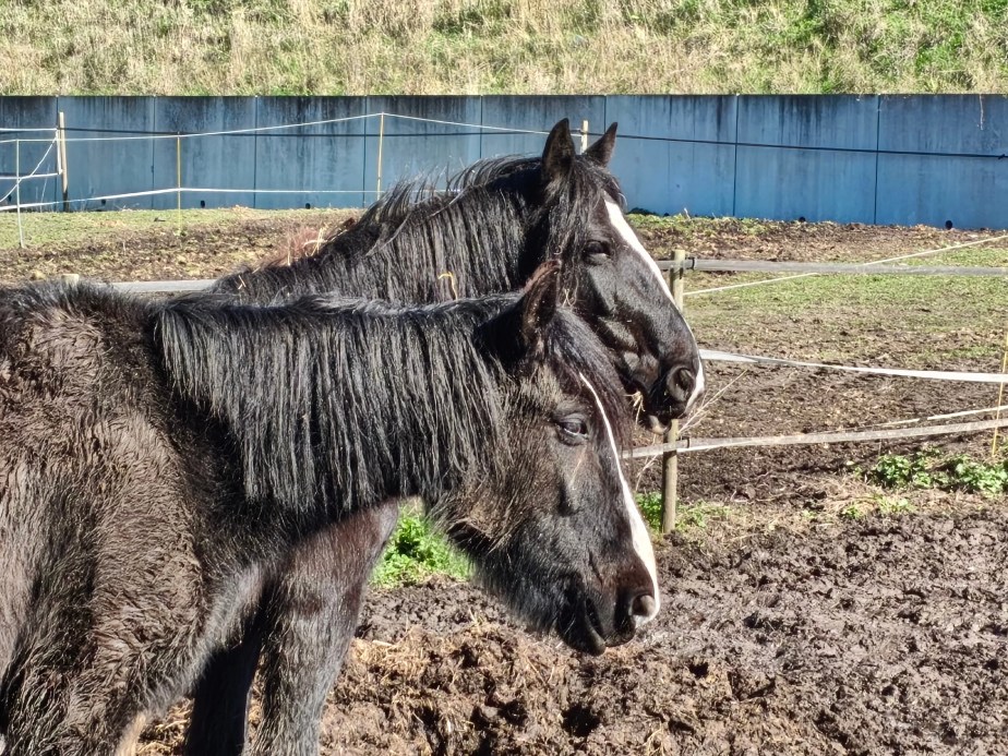 Poco X8 Pro - 130 mm (2)