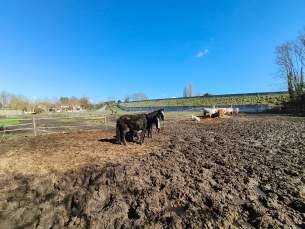 Poco X8 Pro - 16 mm (3)