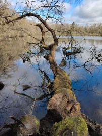 Poco X8 Pro - 26 mm (2)