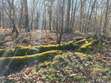 Poco X8 Pro - 26 mm (3)