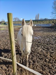 Poco X8 Pro - 26 mm (4)