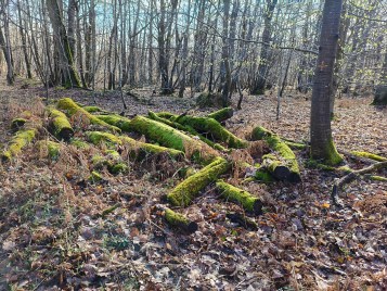 Poco X8 Pro - 26 mm (4)