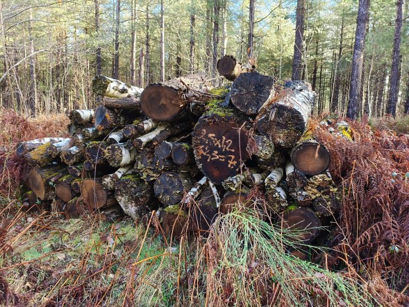 Poco X8 Pro - 26 mm (5)