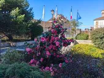 Poco X8 Pro - 26 mm (6)