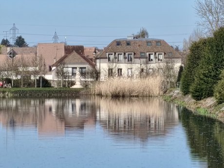 Poco X8 Pro - 260 mm (4)