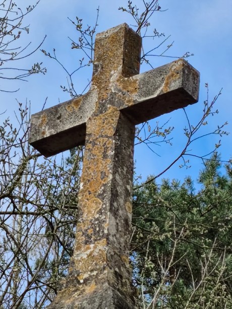 Poco X8 Pro - 260 mm