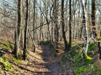 Poco X8 Pro - 52 mm (3)