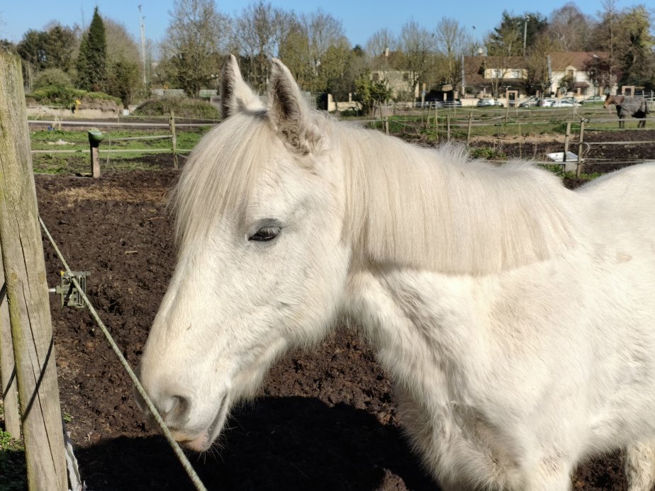 Poco X8 Pro - 52 mm (6)