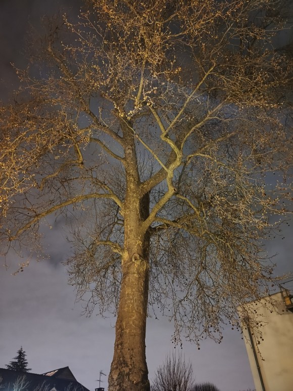 Poco X8 Pro - GA Nuit (5)