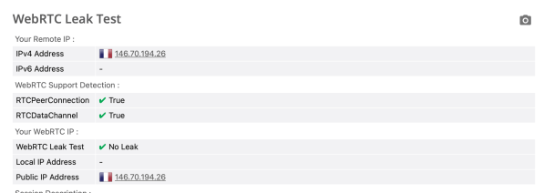 Proton WebRTC Leak Test