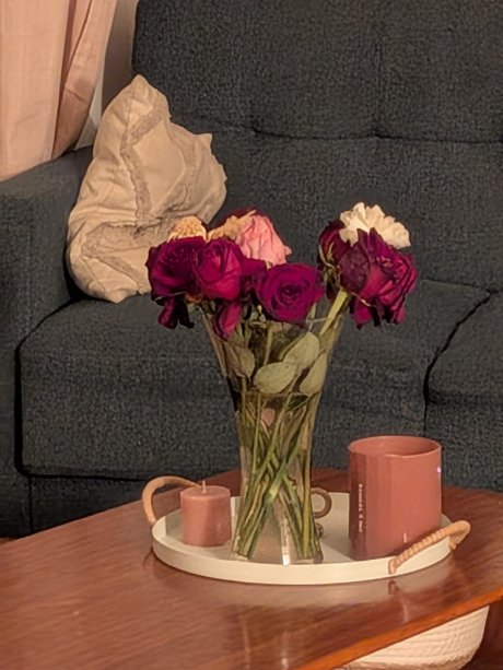 PXL_20260222_224038128.NIGHT