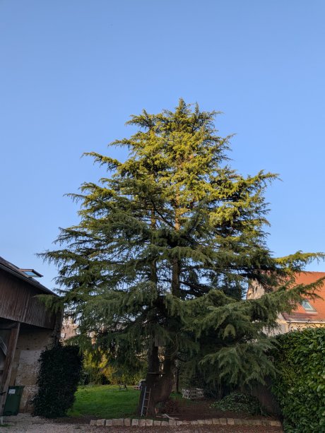 PXL_20260225_162251279