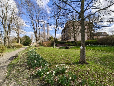 Realme 16 Pro - 16 mm