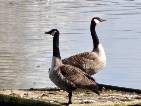 Realme 16 Pro - 20x (2)