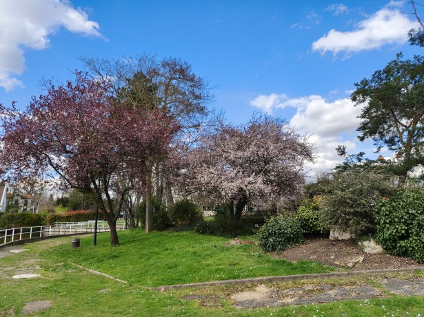 Realme 16 Pro - 23 mm (4)