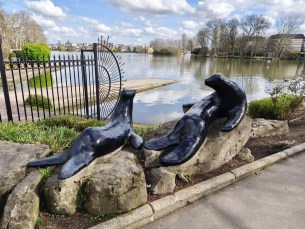 Realme 16 Pro - 23 mm (5)