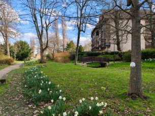 Realme 16 Pro - 23 mm