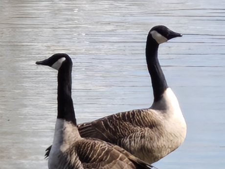 Realme 16 Pro - 30x (2)