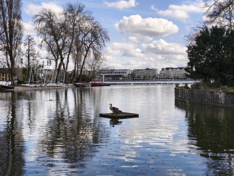 Realme 16 Pro - 46 mm (2)