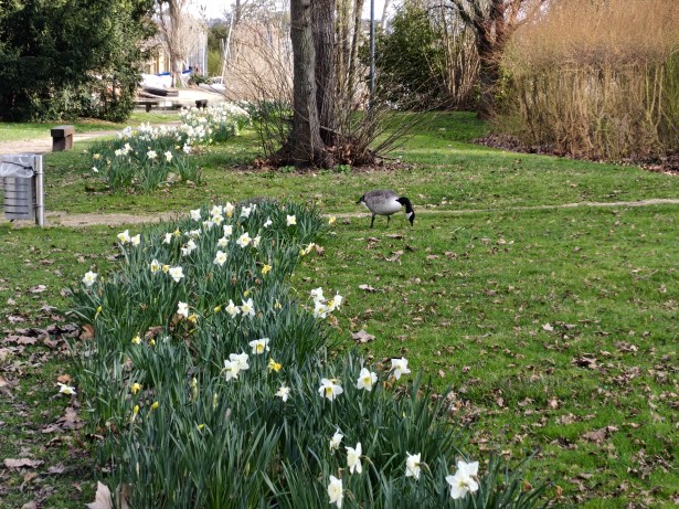 Realme 16 Pro - 92 mm (2)