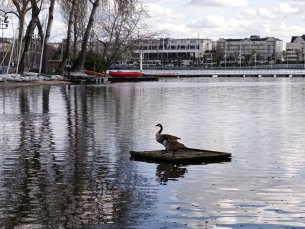 Realme 16 Pro - 92 mm (4)