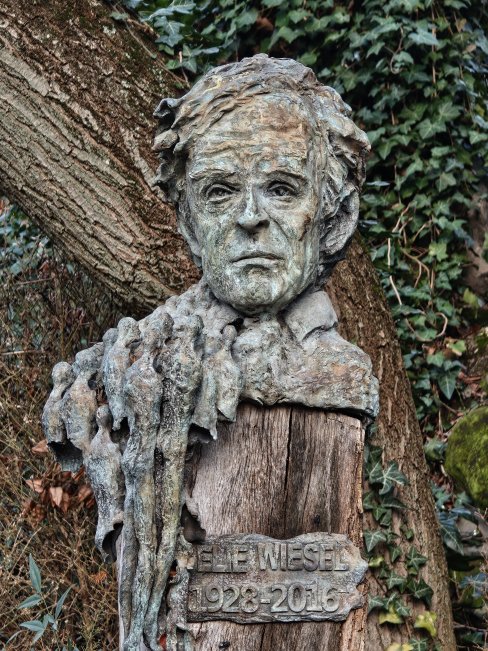 Signature - zoom 6x (13)