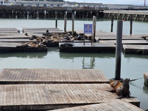 x3 Samsung Galaxy S26 Ultra 226_064154