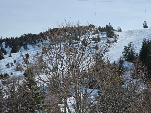 x3 Samsung Galaxy S26 Ultra 228_104836