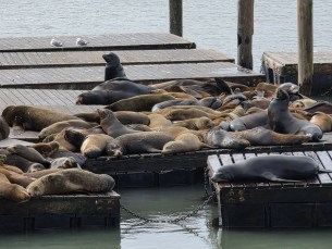 x5 Samsung Galaxy S26 Ultra 226_064159