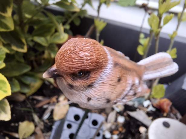 20260403_151219 copie