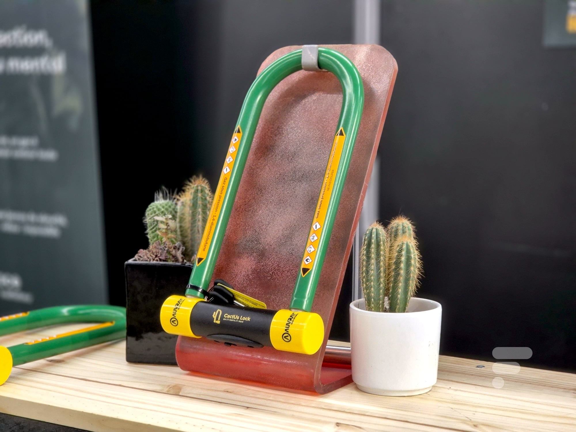 bicicleta com fechadura de cacto em paris 2