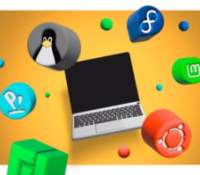 d2422062-79a0-4599-b087-09a84c2e17cf_linux_landing_image_22_13+1