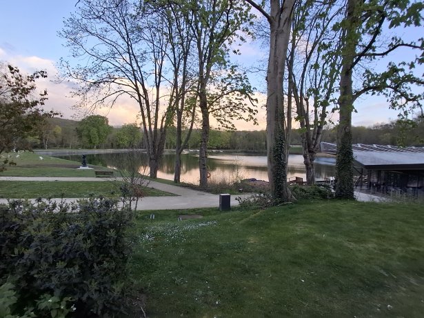 Galaxy A37 Photos (30)